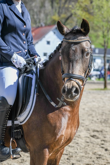 状态火热！布伦森首节8中5得到16分5助攻